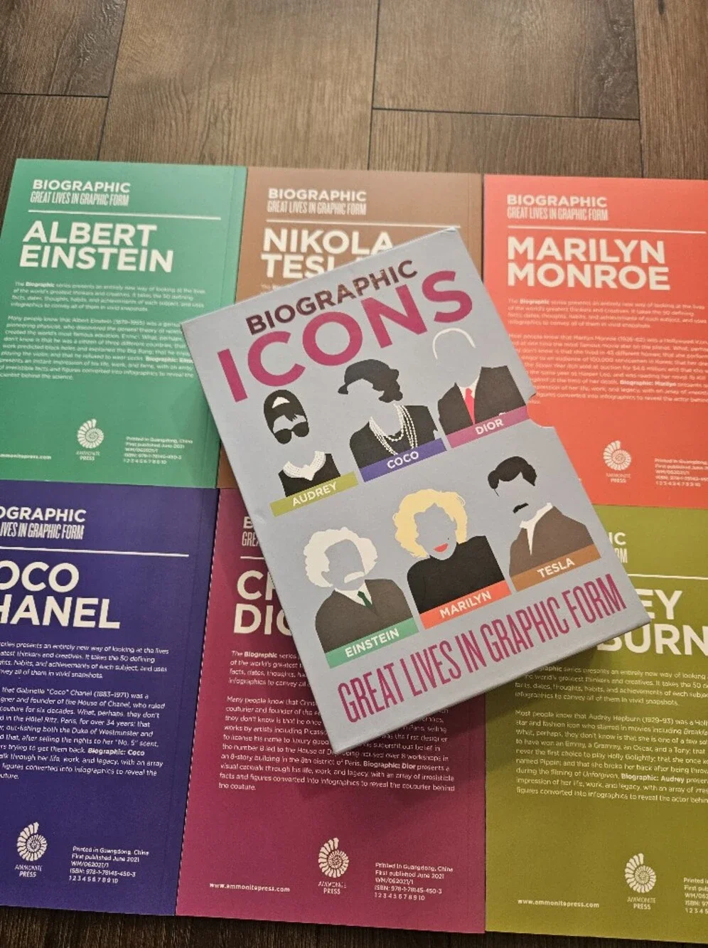 Biographic Icons 6 Book Box Set Coco Chanel Dior Audrey Marilyn Tesla Einstein
